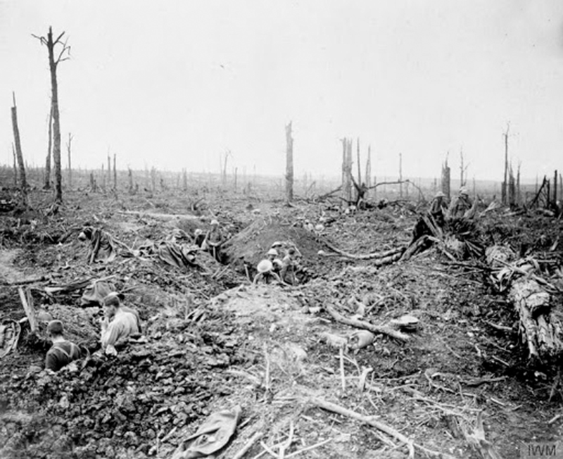 Picture of Delville Wood