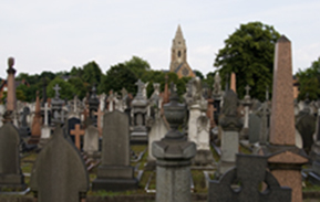 Picture of a cemetery