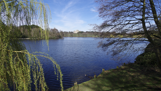 Wollaton Park Lake