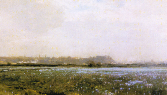 The Meadows